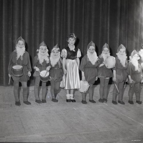 Fête du comité de bal costumé angoumoisin,.