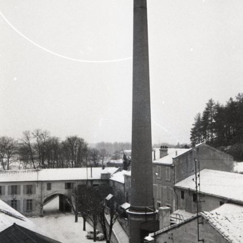 Reportage aux établissements Broussaud 'Le Nil' à Cothiers.