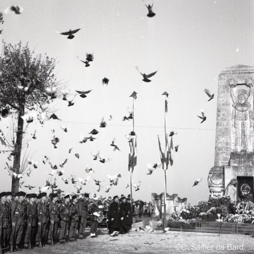 Commémorations du 11 novembre.