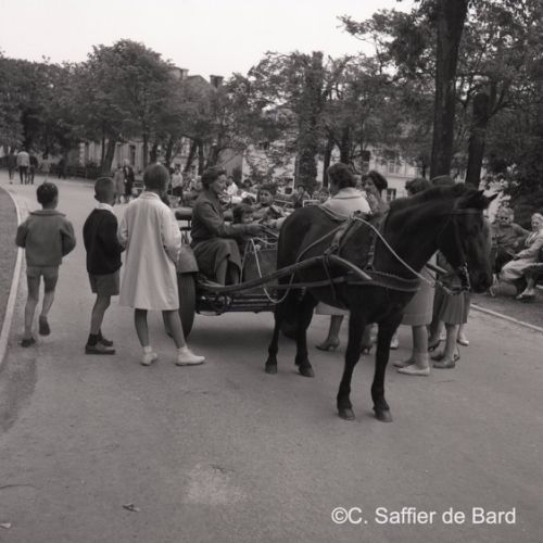 Promenade en poney au Jardin Vert,.