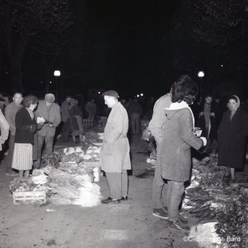 Visite nocturne place des halles à Angoulême.