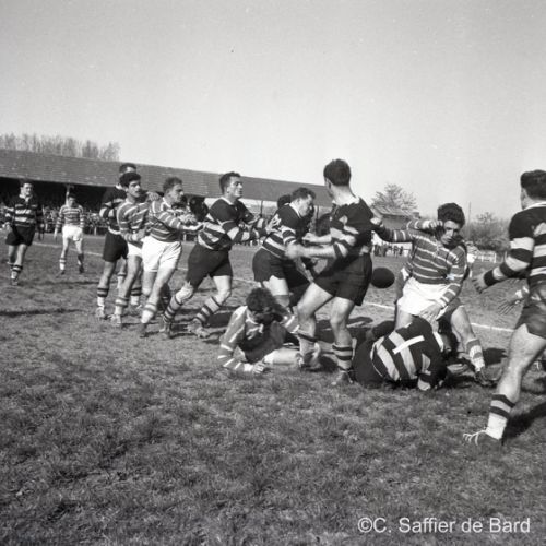Le SCA reçoit l'équipe de rugby de Pau.