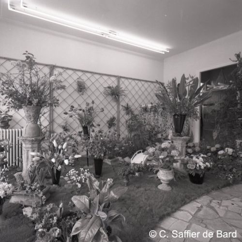 Magasin de fleurs de Madame Didulé.