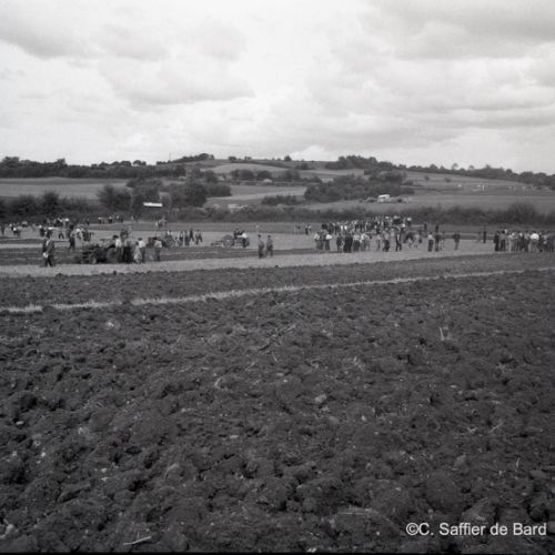 Finale du concours de Labour.