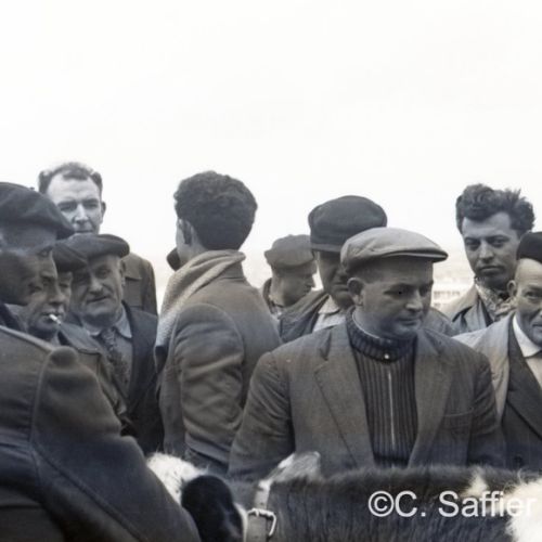Marché aux bestiaux boulvard Thiers à Angoulême.