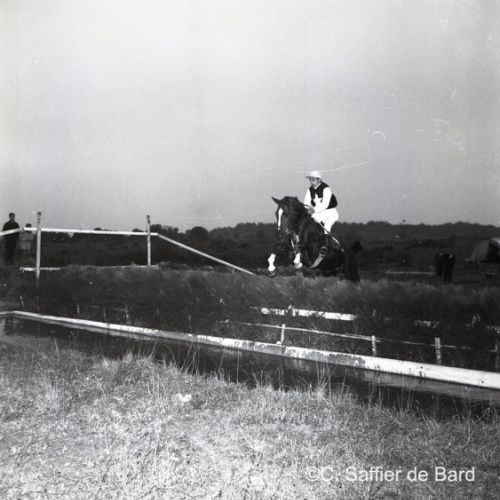 Courses à l’hippodrome de La Tourette.