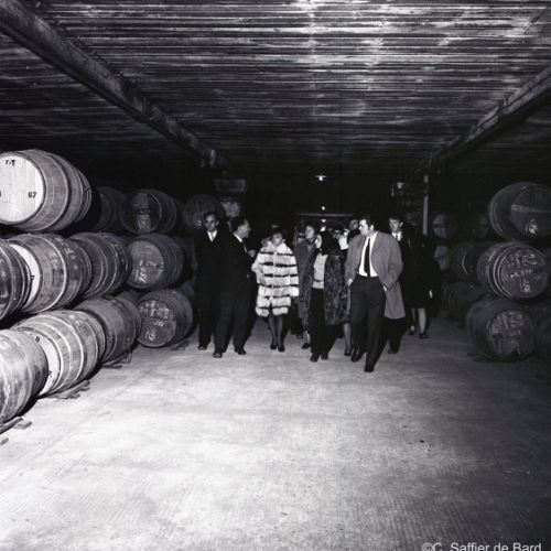 Visite et repérages dans les chais de distillation.